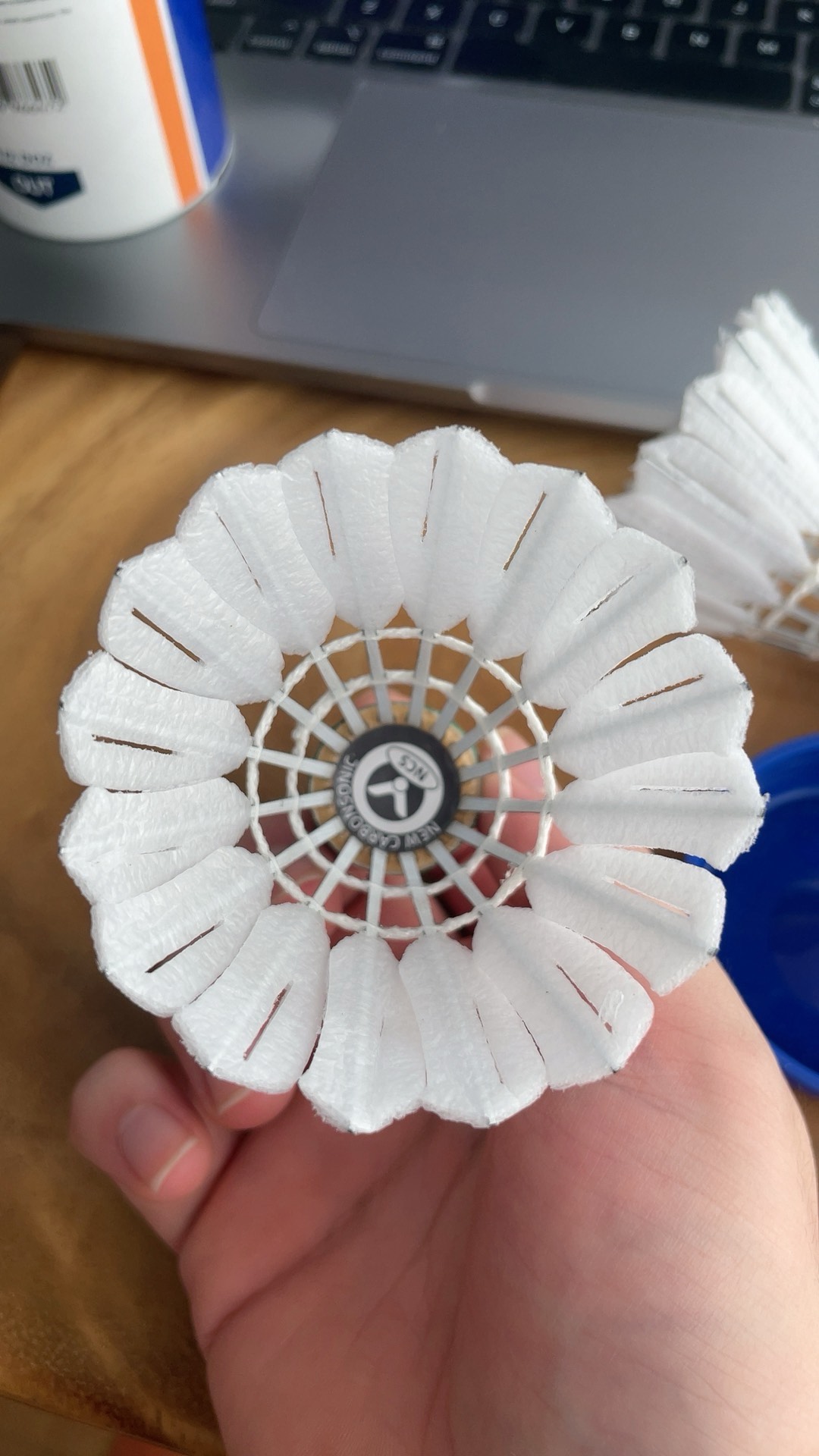 们的尊重 们的尊重