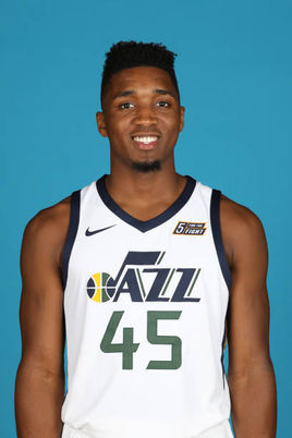 术极强的专 术极强的专