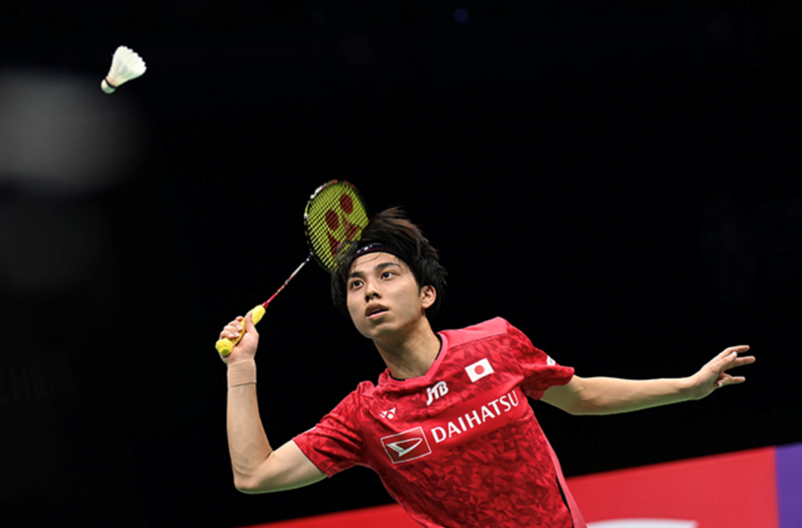 以其顽强的 以其顽强的