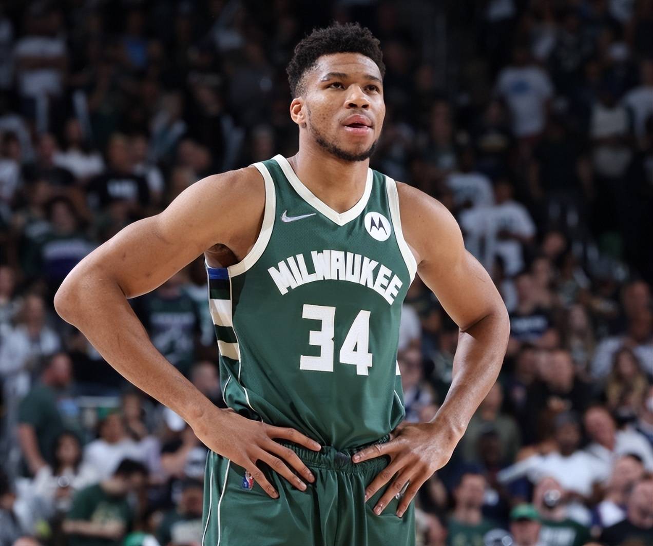 及时把单骑 及时把单骑